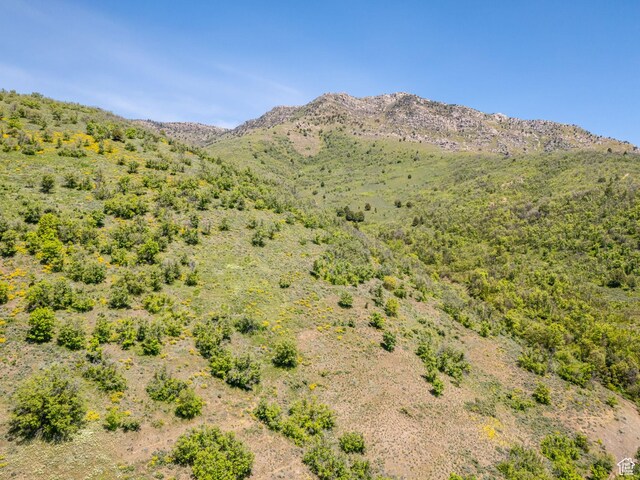 9658 E Kelley Dr Unit 65, Huntsville, UT 84317 - photo 28