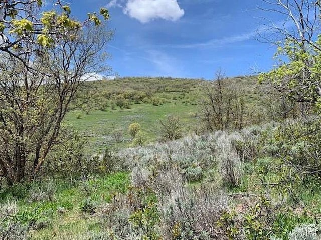 9658 E Kelley Dr Unit 65, Huntsville, UT 84317 - photo 8