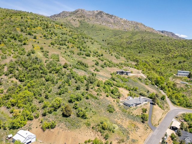 9658 E Kelley Dr Unit 65, Huntsville, UT 84317 - photo 7