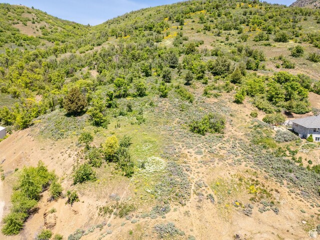 9658 E Kelley Dr Unit 65, Huntsville, UT 84317 - photo 22