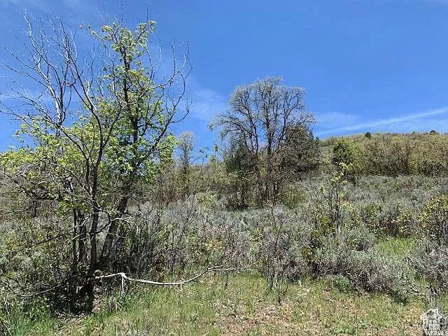 9658 E Kelley Dr Unit 65, Huntsville, UT 84317 - photo 11
