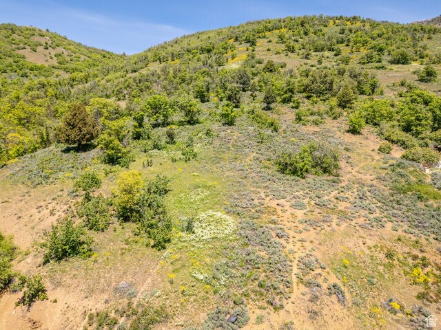 9658 E Kelley Dr Unit 65, Huntsville, UT 84317 - photo 26