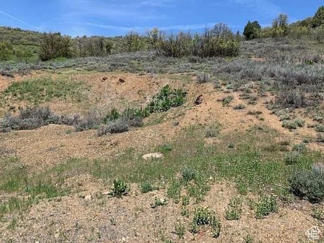 9658 E Kelley Dr Unit 65, Huntsville, UT 84317 - photo 6
