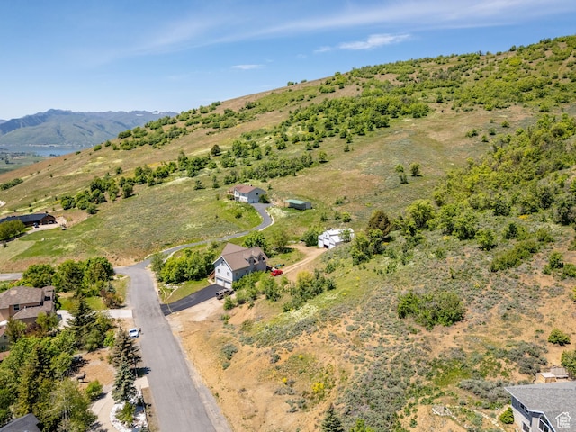 9658 E Kelley Dr Unit 65, Huntsville, UT 84317 - photo 30