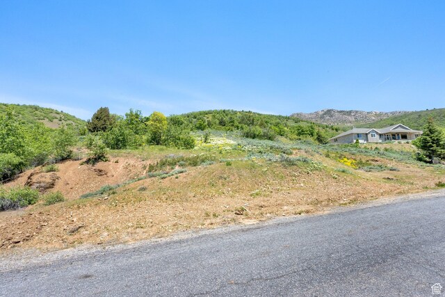 9658 E Kelley Dr Unit 65, Huntsville, UT 84317 - photo 15