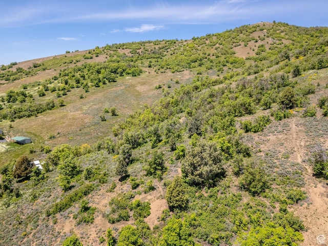 9658 E Kelley Dr Unit 65, Huntsville, UT 84317 - photo 31