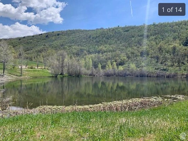 9658 E Kelley Dr Unit 65, Huntsville, UT 84317 - photo 5