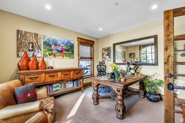 9049 N Timphaven Rd, Sundance, UT 84604 - carpeted office with a textured ceiling
