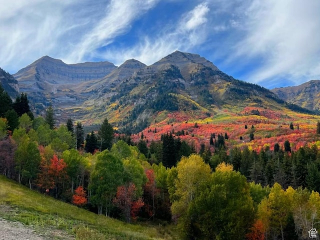 9049 N Timphaven Rd, Sundance, UT 84604 - view of mountain feature