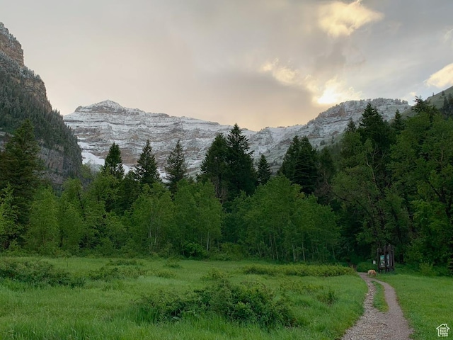 9049 N Timphaven Rd, Sundance, UT 84604 - view of mountain feature