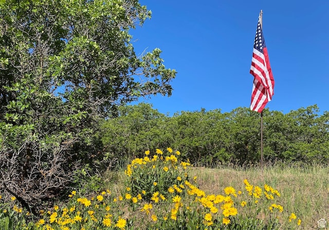 430 S Oak Dr, Woodland Hills, UT 84653 - view of nature