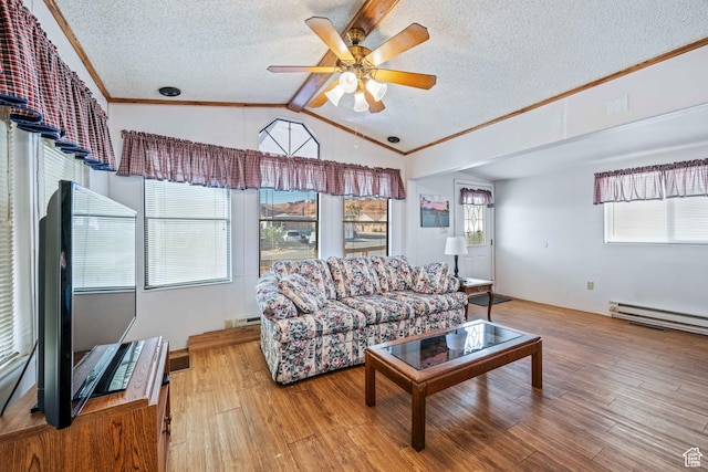 1150 W Red Hills Pkwy, Washington, UT 84780 - living room featuring light wood-type flooring, a wealth of natural light, and lofted ceiling