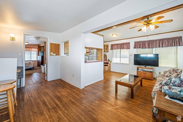 1150 W Red Hills Pkwy, Washington, UT 84780 - living room with ceiling fan and dark hardwood / wood-style flooring
