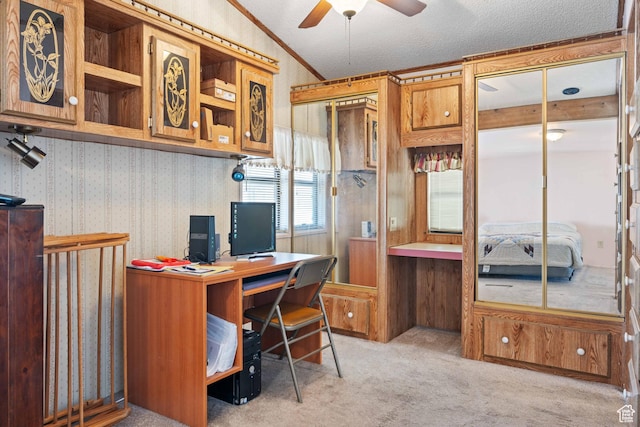 1150 W Red Hills Pkwy, Washington, UT 84780 - carpeted office space with a textured ceiling, vaulted ceiling, and ceiling fan