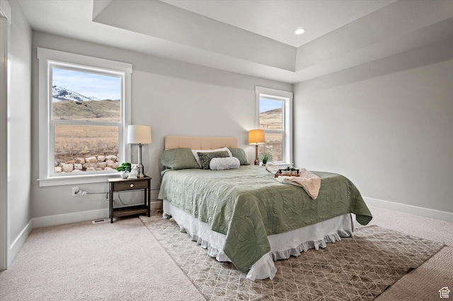 562 S 1140 E Unit 1206, Smithfield, UT 84335 - carpeted bedroom featuring a raised ceiling, baseboards, and multiple windows