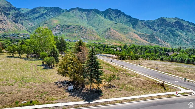 1436 N Grove Dr Unit 3, Alpine, UT 84004
