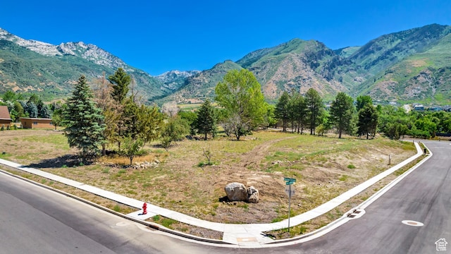 1436 N Grove Dr Unit 3, Alpine, UT 84004