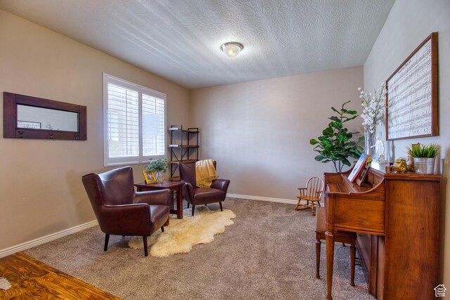 sitting room featuring carpet and a textured ceiling
