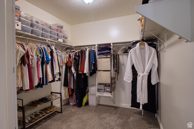 spacious closet with carpet