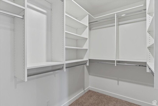 walk in closet with carpet