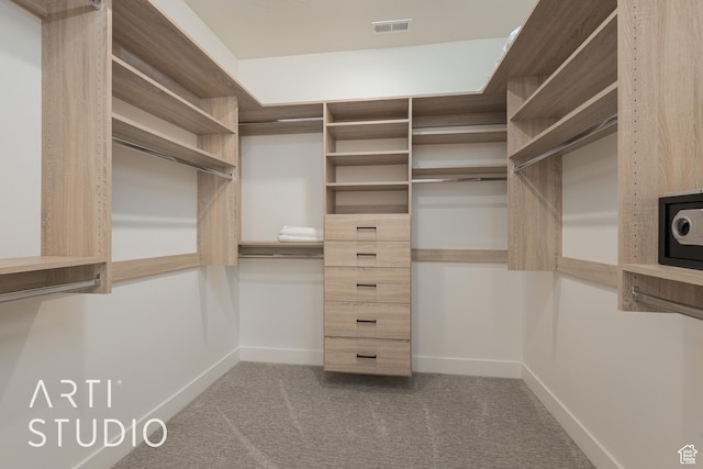 3235 S Retreat Dr, Hurricane, UT 84737 - walk in closet with carpet