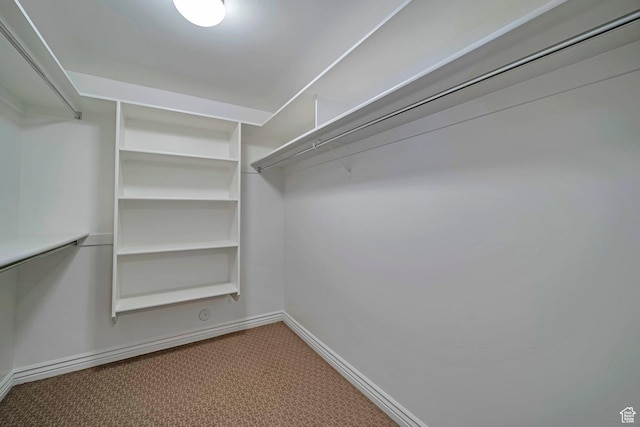 893 N 400 E, Springville, UT 84663 - spacious closet with carpet
