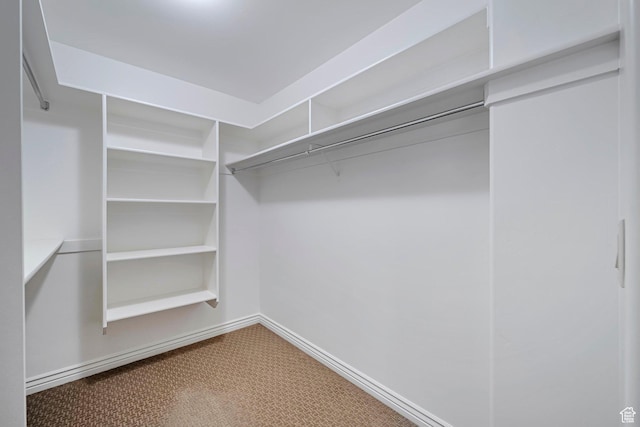 893 N 400 E, Springville, UT 84663 - spacious closet featuring carpet