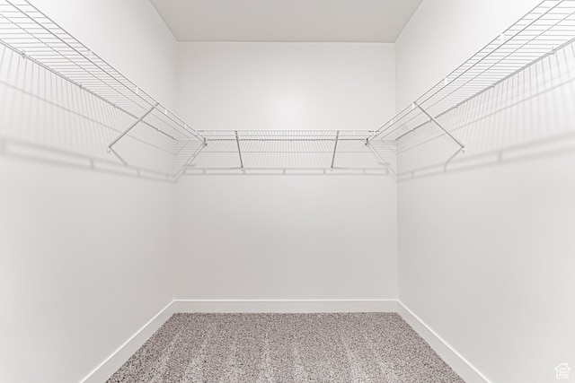13714 S Hanley Ln Unit Hh204, Riverton, UT 84096 - walk in closet with carpet flooring