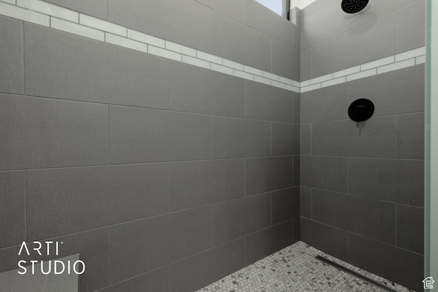 5090 W 3175 S, Hurricane, UT 84737 - bathroom featuring a tile shower