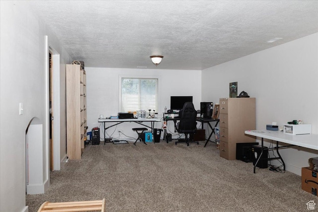 287 S 375 W, Providence, UT 84332 - carpeted home office with a textured ceiling