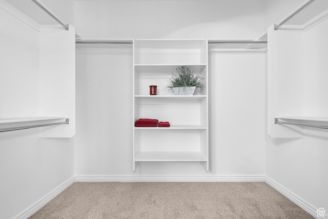 649 E 5650 S, Washington Terrace, UT 84405 - walk in closet with carpet