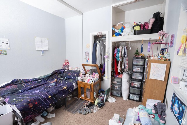 128 N 8th St, Montpelier, ID 83254 - bedroom with a closet and carpet floors