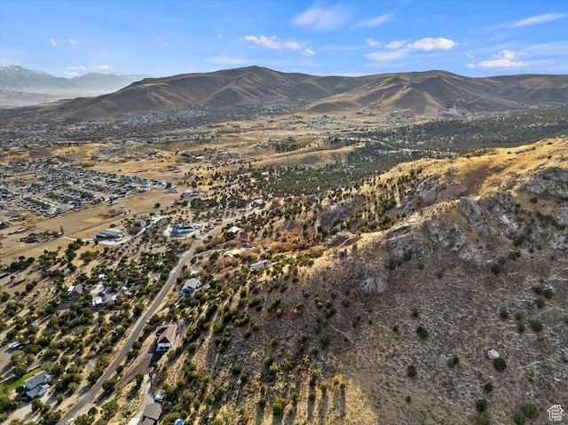 13802 S Mount Shaggy Dr, Herriman, UT 84096 - property view of mountains
