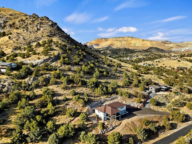 13802 S Mount Shaggy Dr, Herriman, UT 84096 - property view of mountains