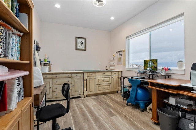13802 S Mount Shaggy Dr, Herriman, UT 84096 - office space featuring light hardwood / wood-style flooring