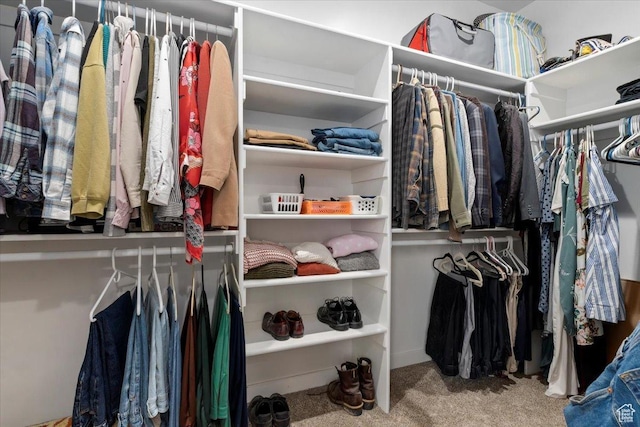 13802 S Mount Shaggy Dr, Herriman, UT 84096 - spacious closet featuring carpet floors