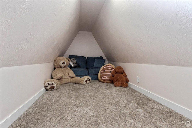 13802 S Mount Shaggy Dr, Herriman, UT 84096 - interior space featuring carpet flooring and a textured ceiling