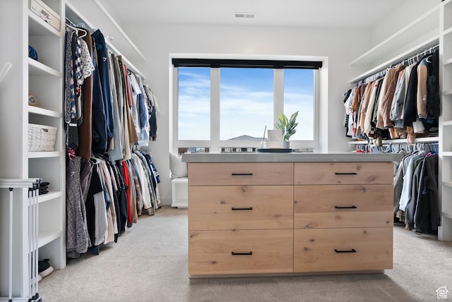 spacious closet with light colored carpet