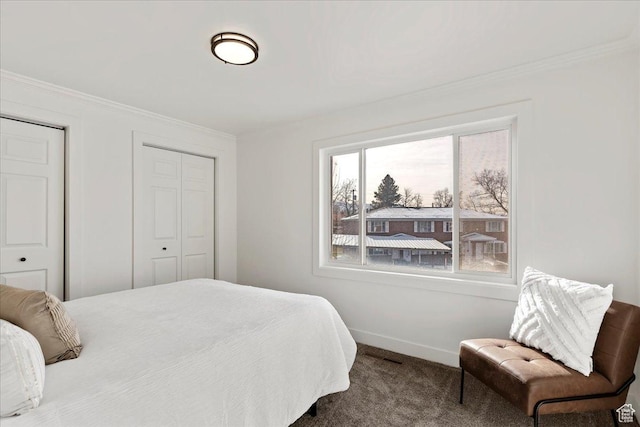 carpeted bedroom with two closets and multiple windows