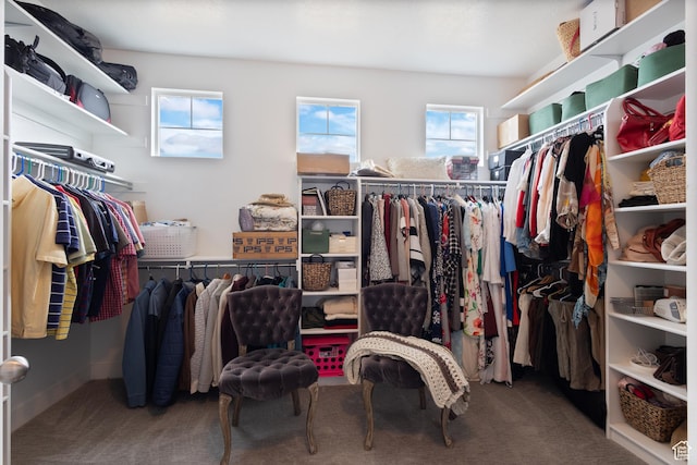 536 W Granite Cir, Saratoga Springs, UT 84045 - walk in closet featuring carpet flooring