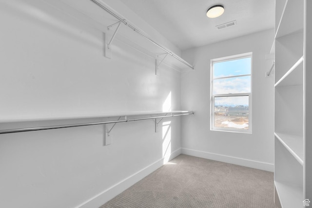 spacious closet featuring visible vents and light carpet