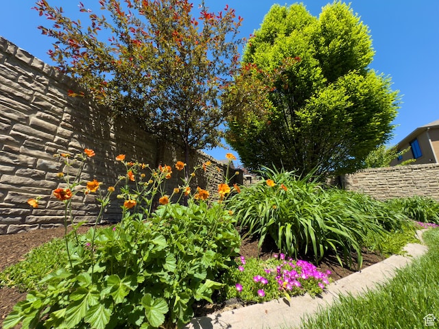 11278 S Portobello Rd W, South Jordan, UT 84095 - view of yard