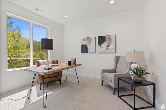 view of carpeted home office