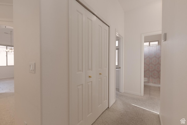 2365 E 160 S, St George, UT 84790 - hall with light colored carpet