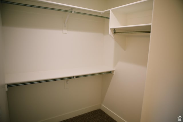 spacious closet featuring carpet