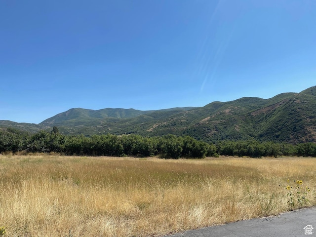 131 S Meadow Dr E Unit 20, Springville, UT 84663 - photo 10
