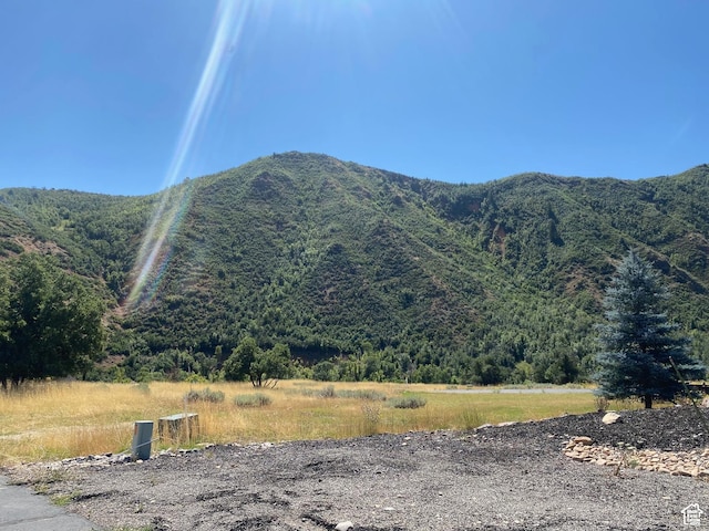131 S Meadow Dr E Unit 20, Springville, UT 84663 - photo 9