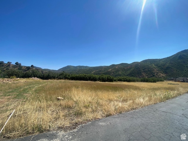 131 S Meadow Dr E Unit 20, Springville, UT 84663 - photo 4