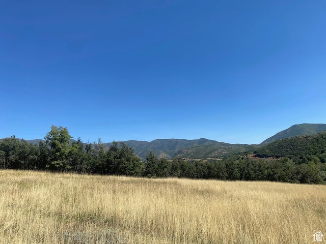 169 S Meadow Dr E Unit 18, Springville, UT 84663 - photo 5