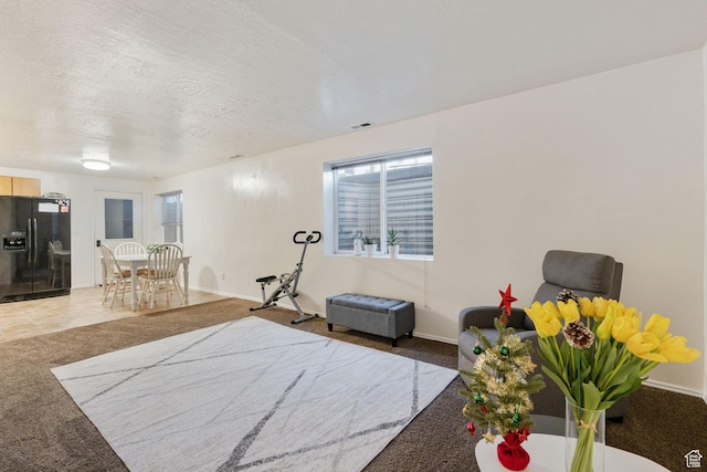 interior space with carpet and a textured ceiling